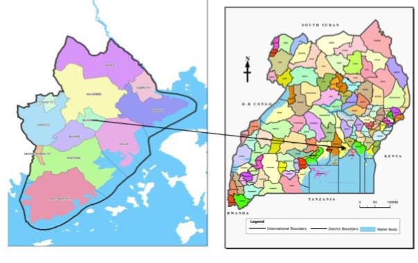 BL00000043