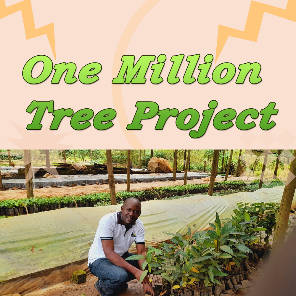 Global Giving